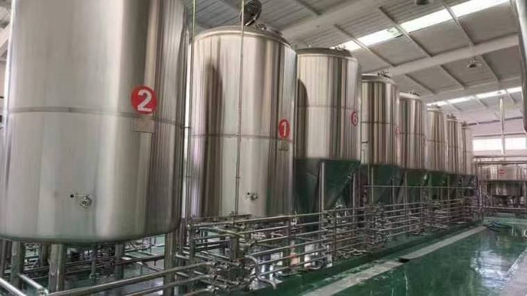 永靖日产10吨精酿啤酒设备多少钱?2026年全套报价帮你算明白